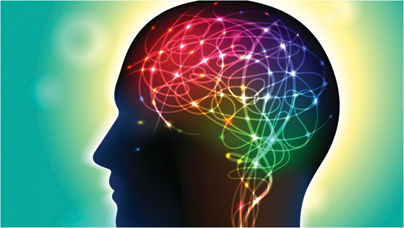 Травматическая нейронная сеть Травматическая нейронная сеть